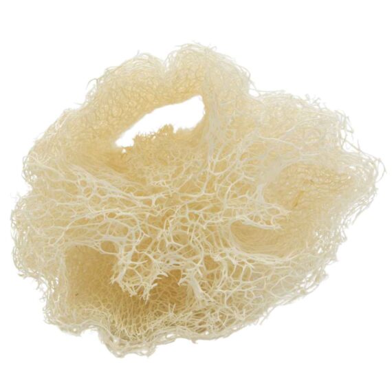 Esponja Vegetal de Luffa