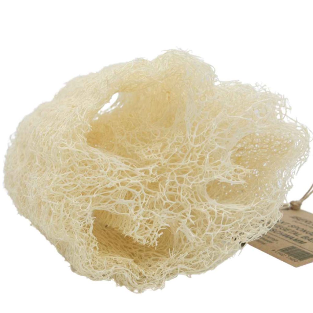 Esponja vegetal para ducha