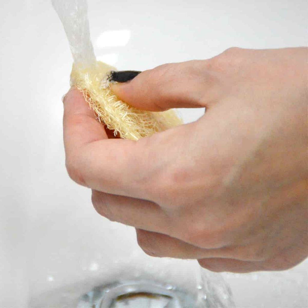disco exfoliante de luffa húmedo