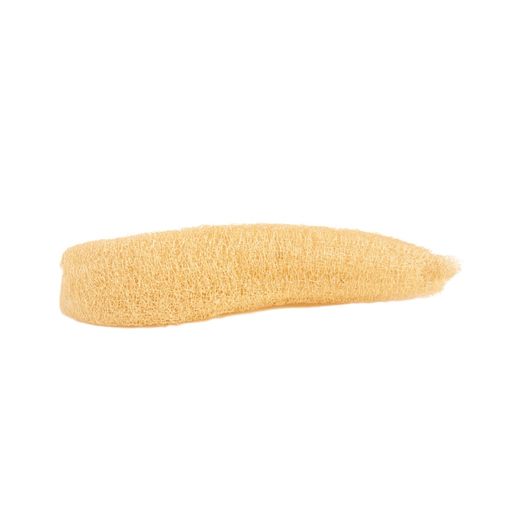 Fruto de luffa entero