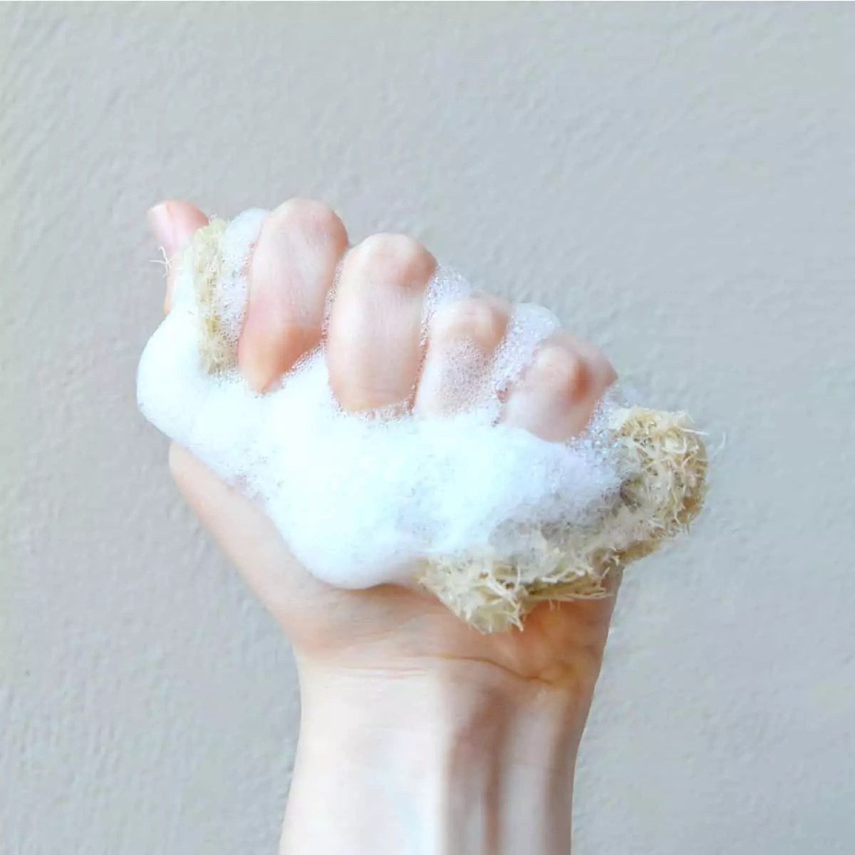 Estropajo natural vegetal Estropajo natural vegetal