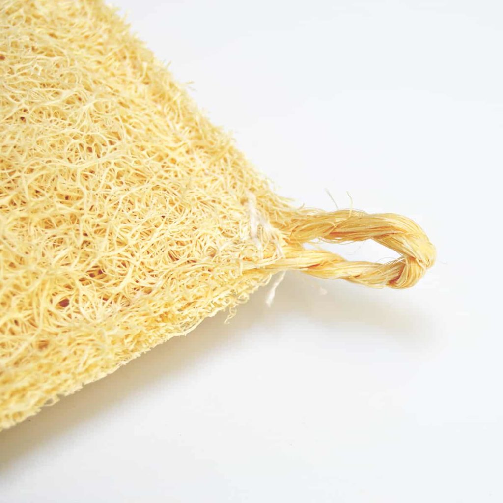 estropajo de luffa