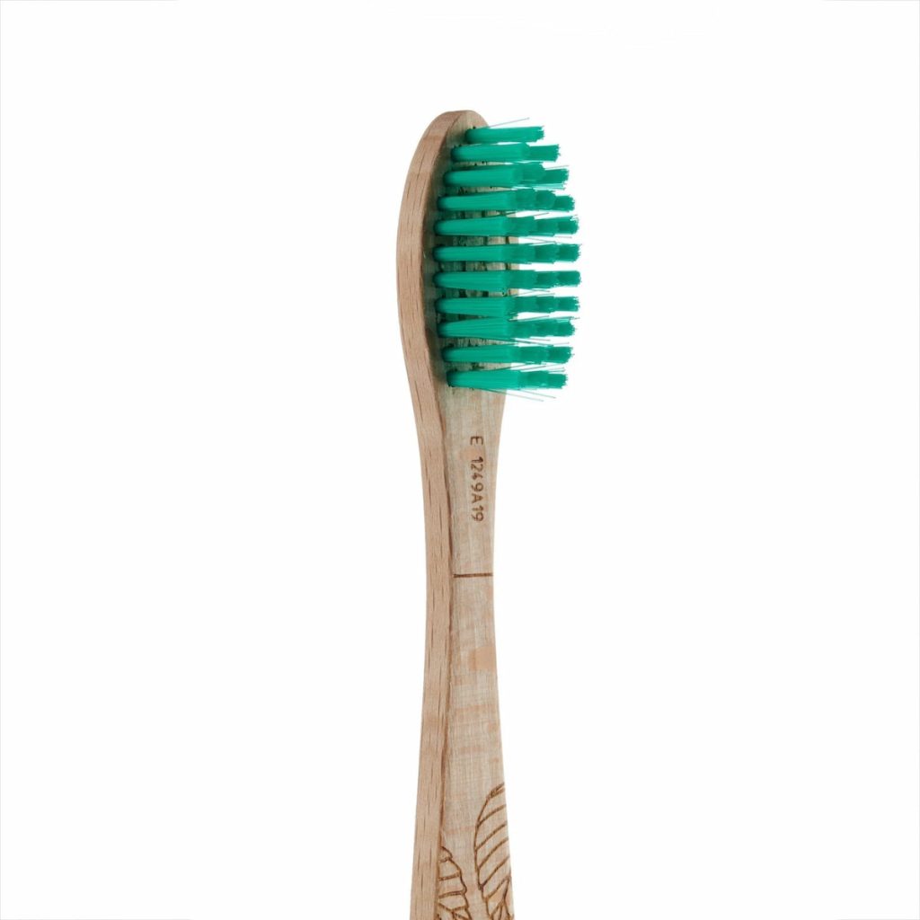 Cepillo Dental Medio Madera de Haya