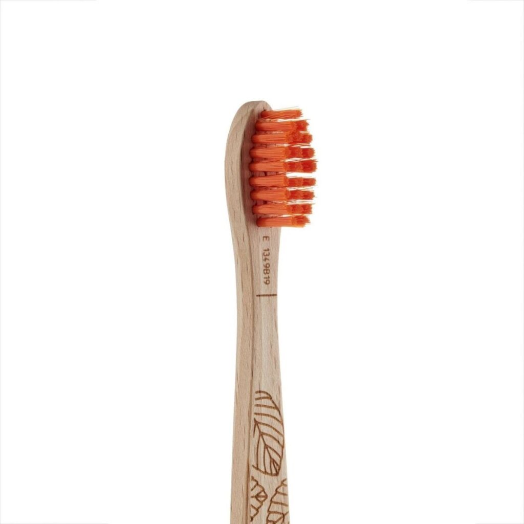 Cepillo de Dientes de Madera de Haya para Niños Detalle