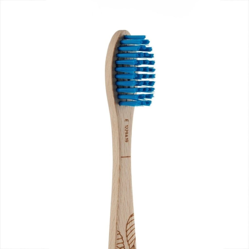 Cepillo de Madera de Haya Fuerte Detalle