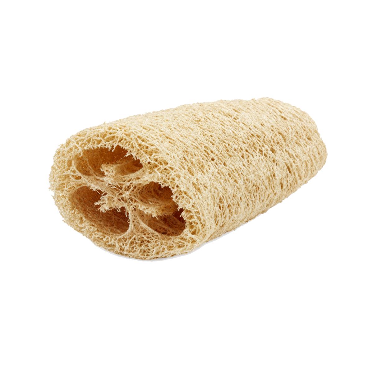 Luffa Pequeña