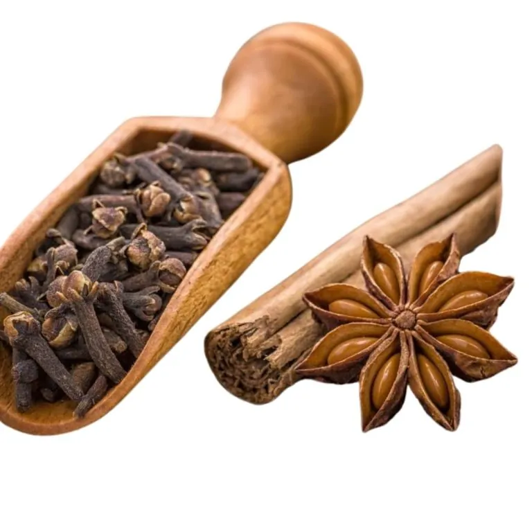 EAU DE PARFUM SOUS LA CANOPEE 50 ml