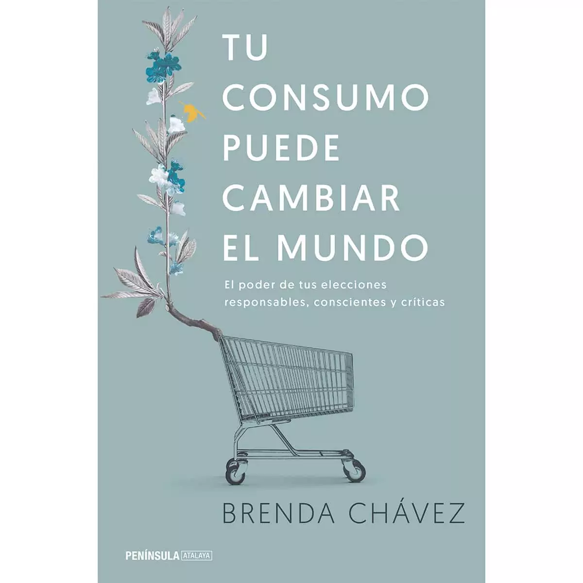 Tu consumo puede cambiar el Mundo, de Brenda Chávez