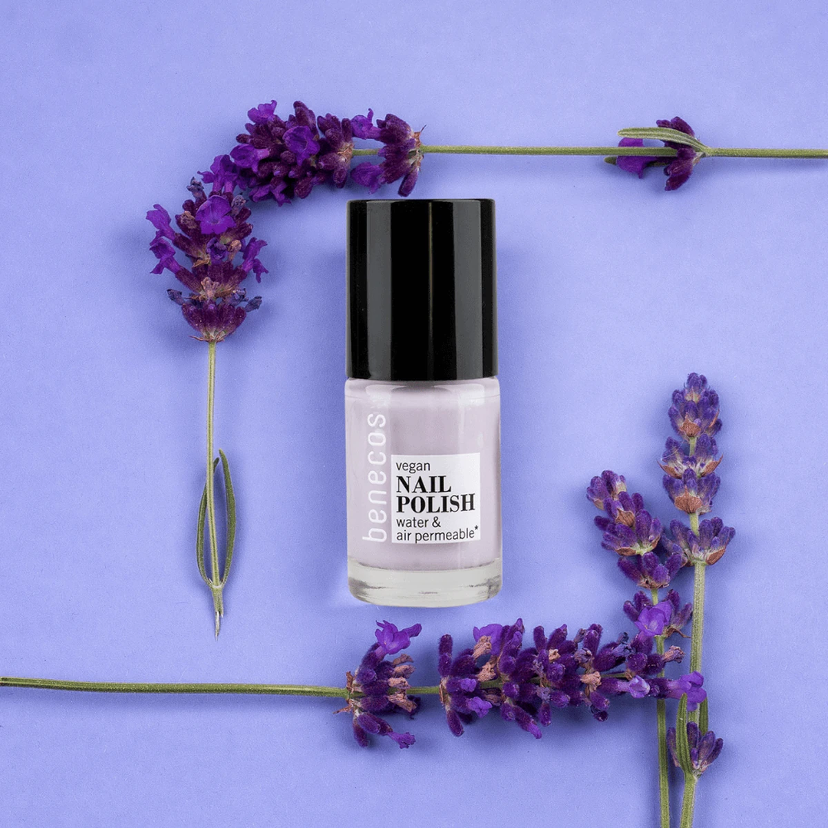 pintau�as lila junto a ramas de lavanda