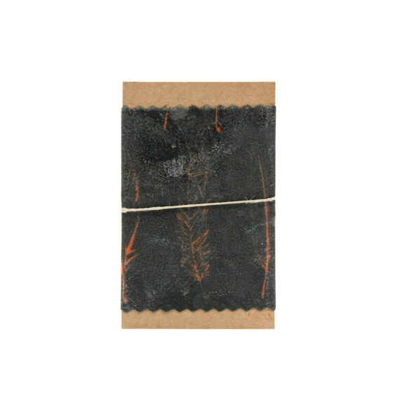 080003003-03