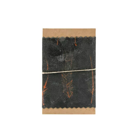 080003003-03