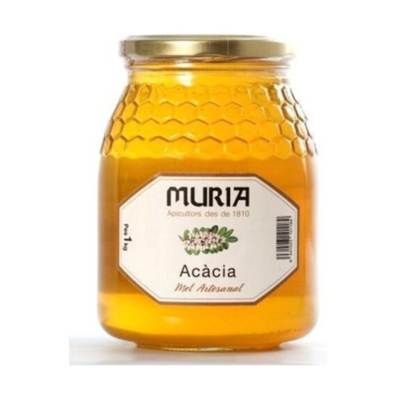 Miel Acacia 1 Kg