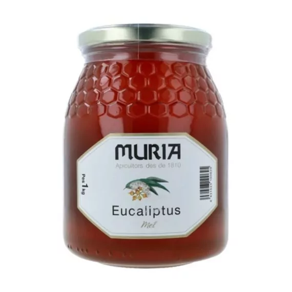 Miel de Eucalipto 1 Kg