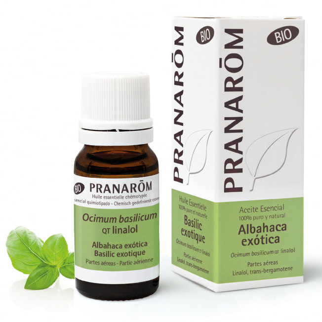 Aceite esencial de Albahaca Exótica BIO 10 ml – Pranarom