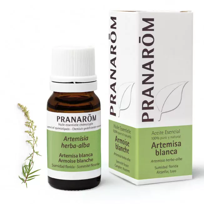 Aceite Esencial de Artemisa Blanca 10 ml – Pranarom