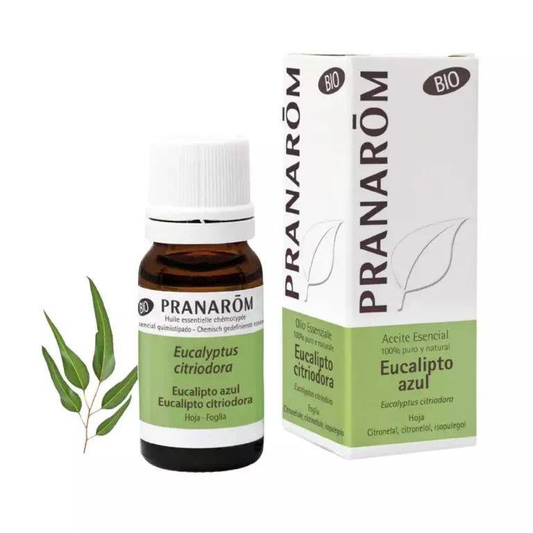Aceite Esencial de Eucalipto Azul BIO 10 ml – Pranarom