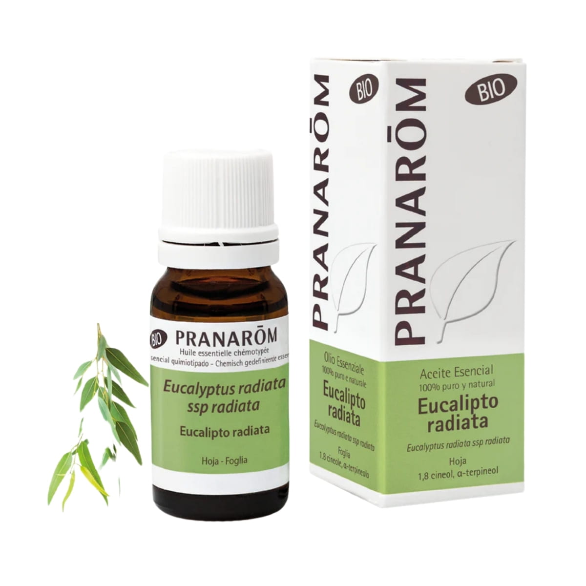 Aceite Esencial de Eucalipto Radiata BIO 10 ml – Pranarom