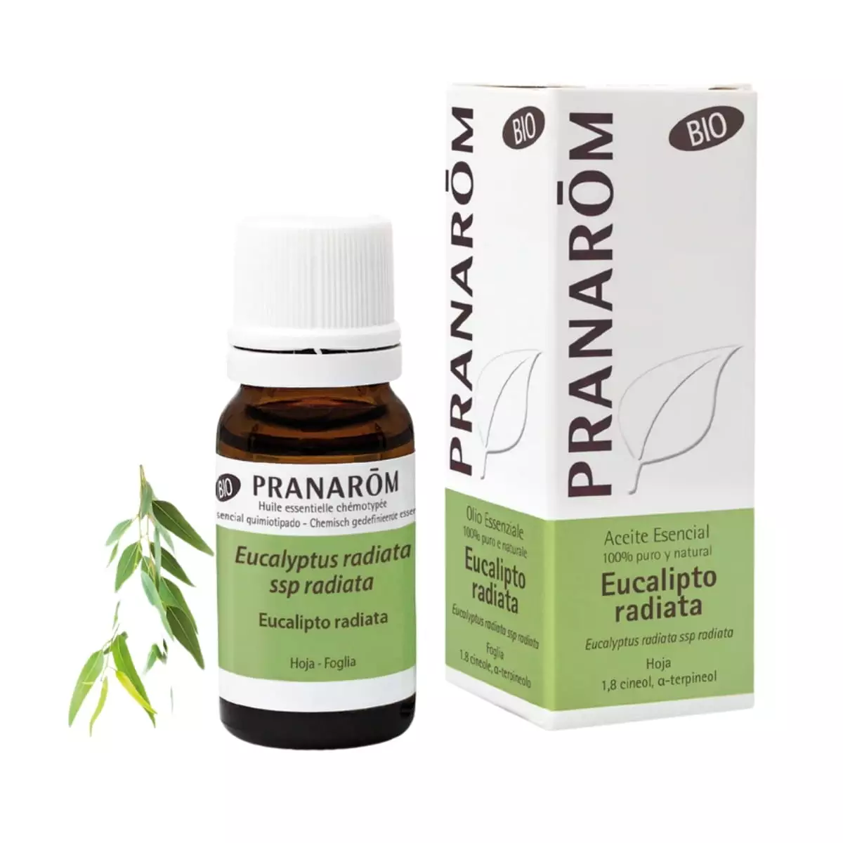Aceite Esencial de Eucalipto Radiata BIO 10 ml – Pranarom
