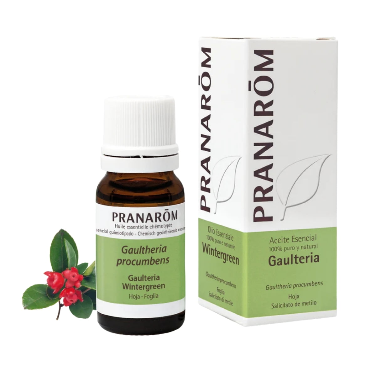 Aceite Esencial de Gaulteria 10 ml – Pranarom