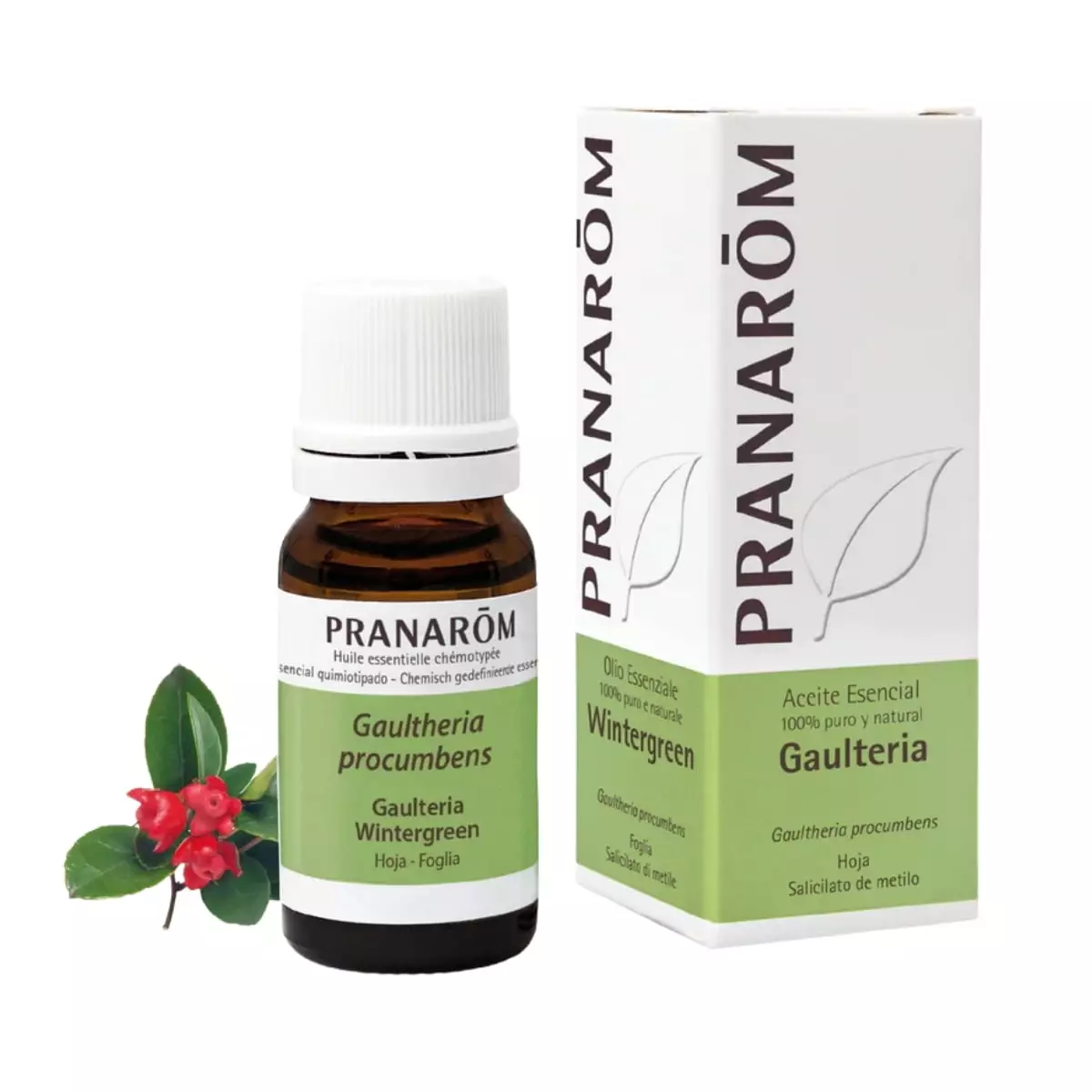 Aceite Esencial de Gaulteria 10 ml – Pranarom