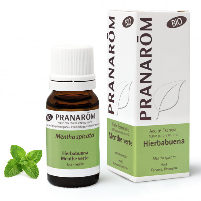 Aceite Esencial de Hierbabuena BIO 10 ml – Pranarom