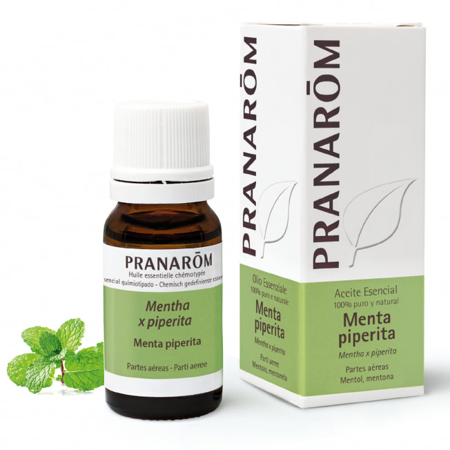 Aceite Esencial de Menta Piperita 10 ml – Pranarom