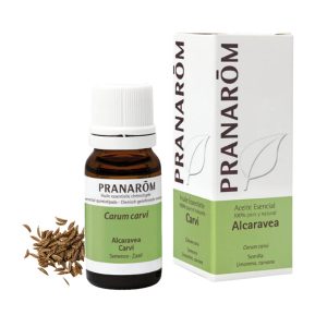 Aceite Esencial de Alcaravea 10 ml – Pranarom