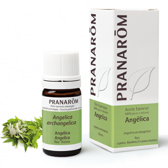 Aceite Esencial de Angélica 5 ml – Pranarom