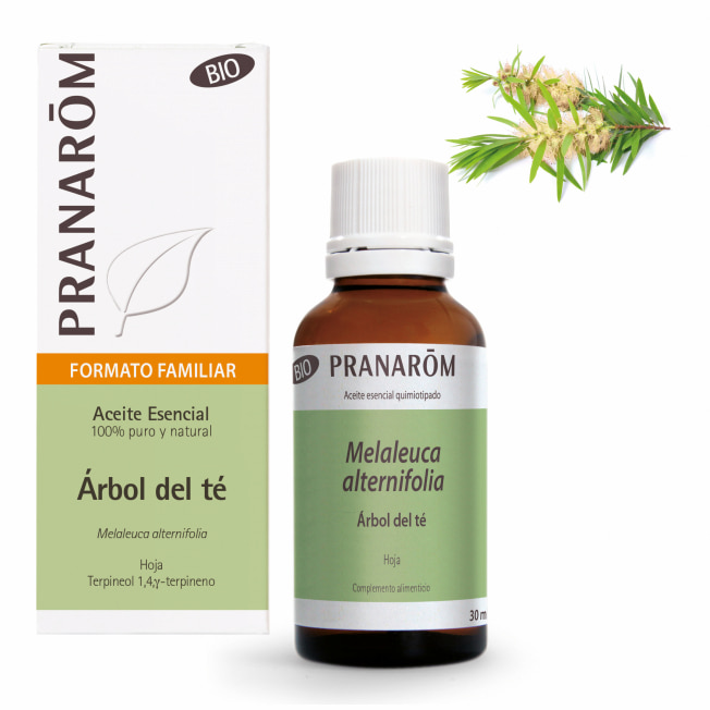 Aceite Esencial de Árbol del Té BIO 30 ml – Pranarom