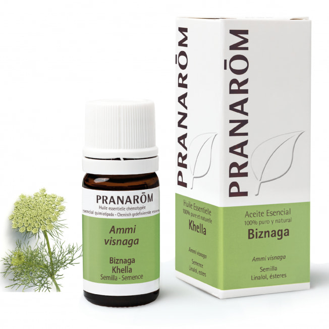 Aceite Esencial de Biznaga 5 ml – Pranarom