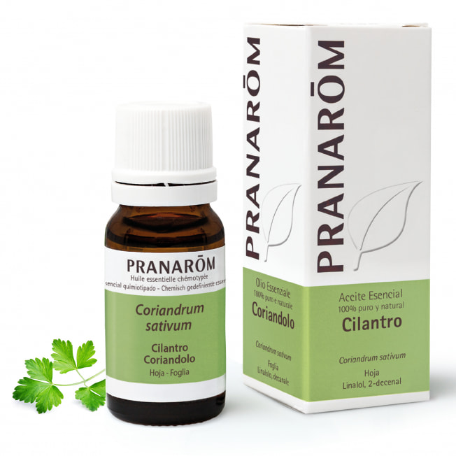 Aceite Esencial de Cilantro 10 ml – Pranarom