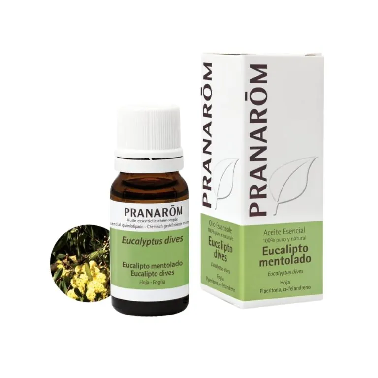 Aceite Esencial de Eucalipto Mentolado 10 ml – Pranarom