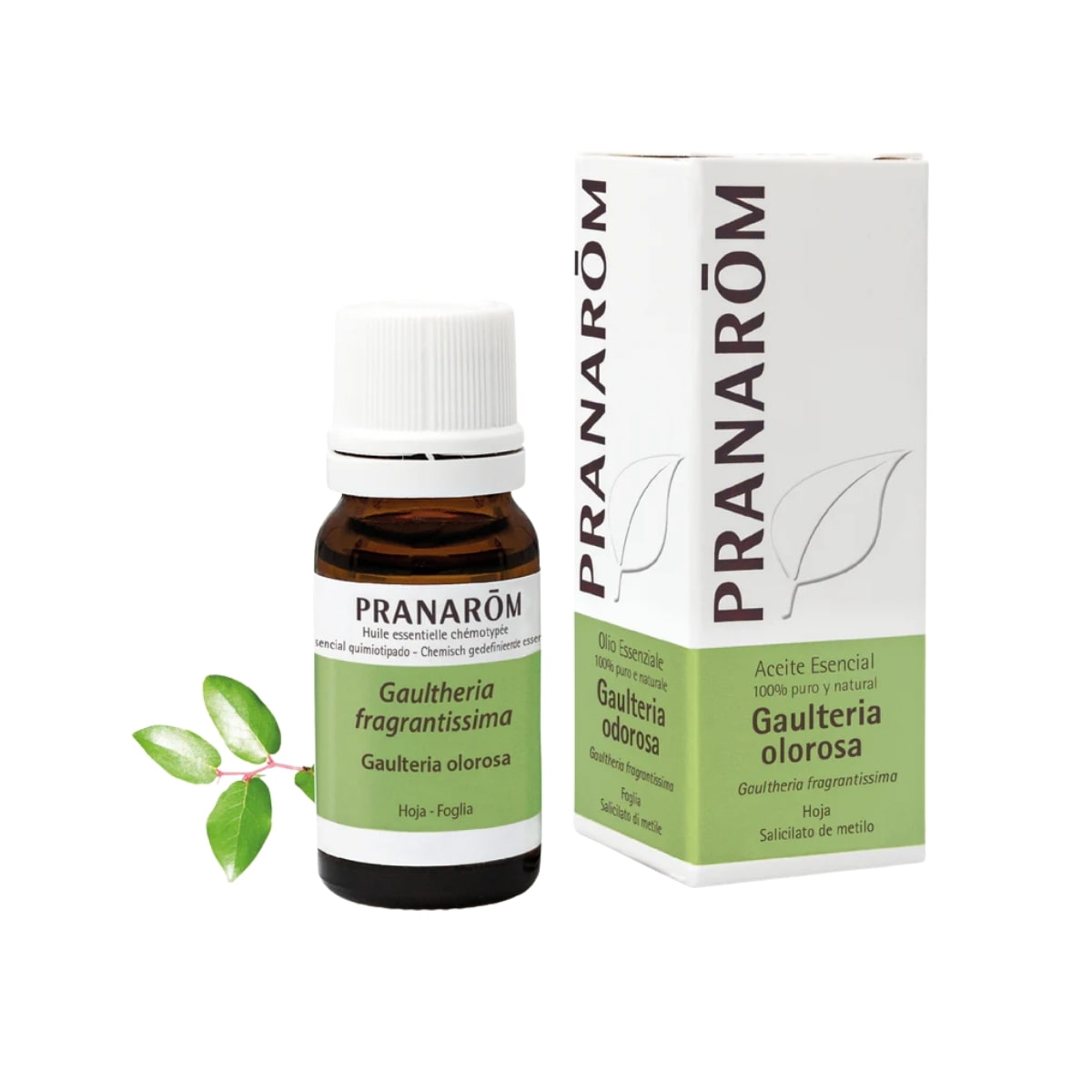 Aceite Esencial de Gaulteria Olorosa BIO 10 ml – Pranarom