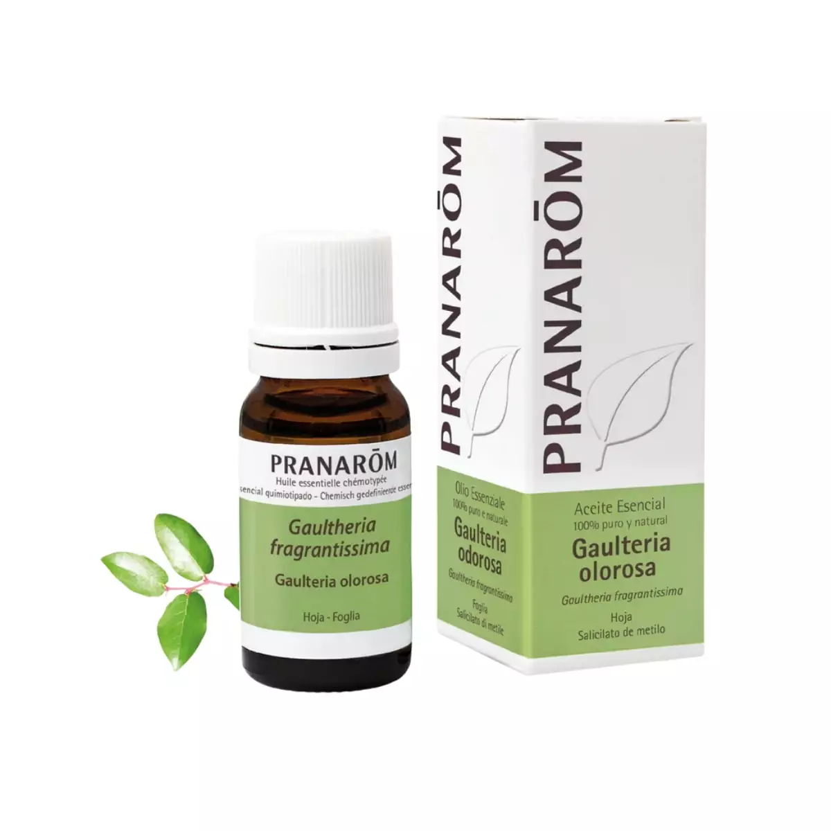Aceite Esencial de Gaulteria Olorosa BIO 10 ml – Pranarom