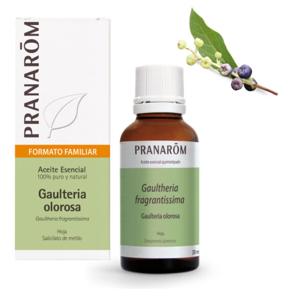 Aceite Esencial de Gaulteria Olorosa BIO 30 ml – Pranarom