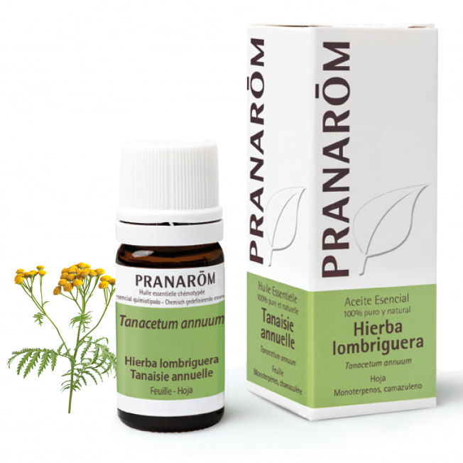 Aceite Esencial de Hierba Lombriguera Tanacetum 5 ml – Pranarom