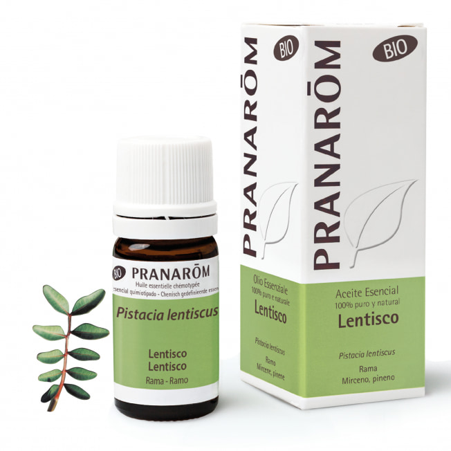 Aceite Esencial de Lentisco Rama BIO 5 ml – Pranarom