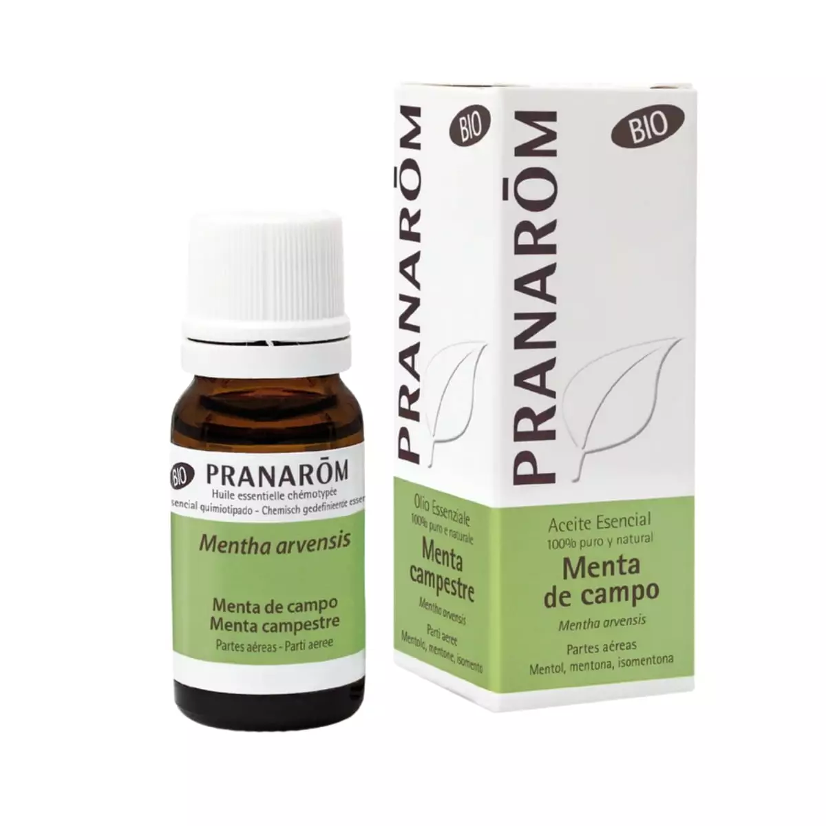 Aceite Esencial de Menta de Campo BIO 10 ml - Pranarom