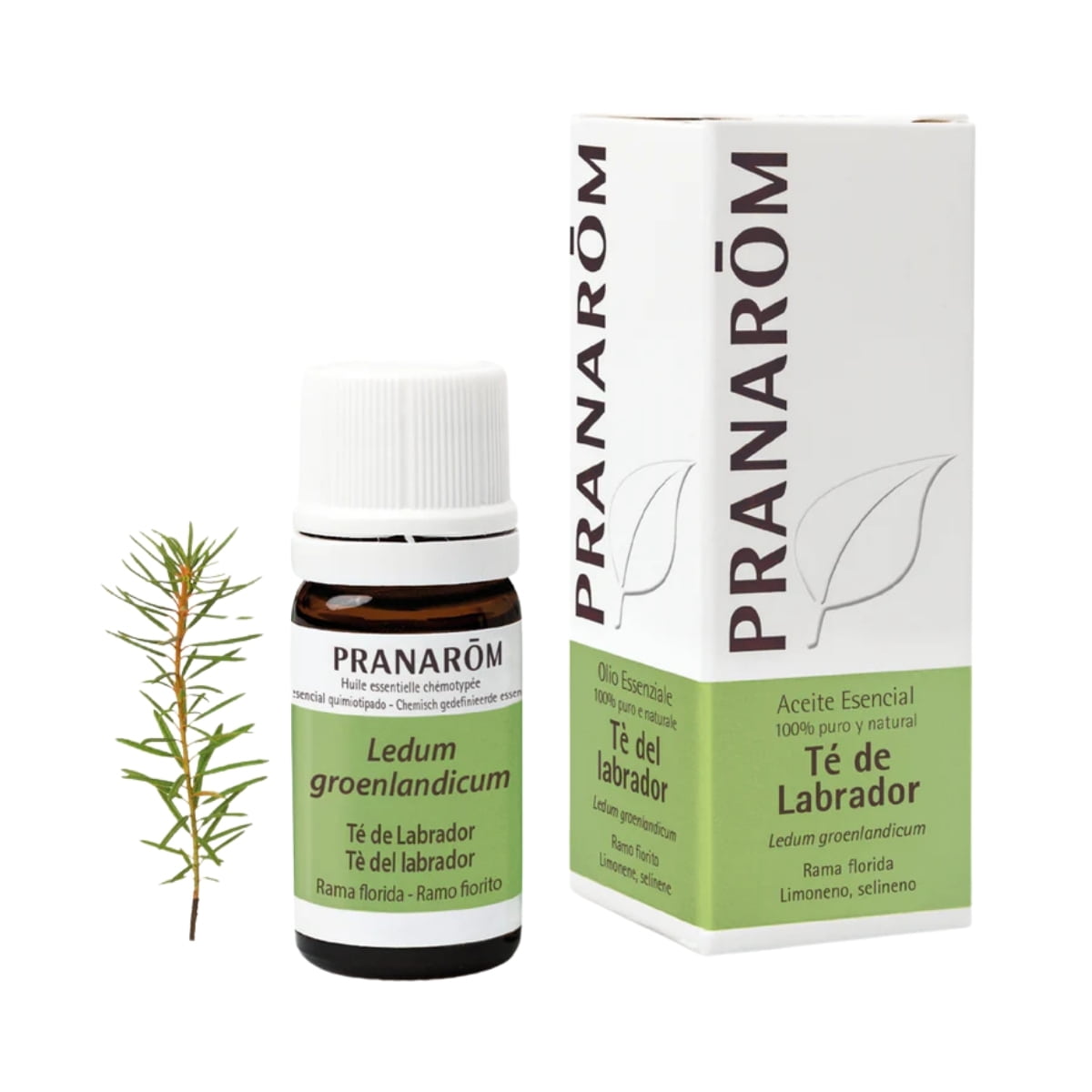 Aceite Esencial de Te del Labrador BIO 5 ml – Pranarom
