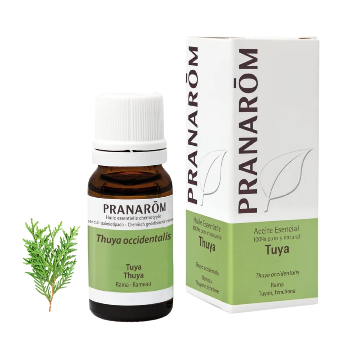 Aceite Esencial de Thuya Occidentalis 10 ml – Pranarom