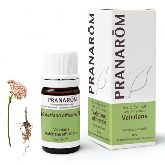 Aceite Esencial de Valeriana 5 ml – Pranarom