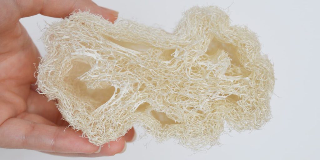 Esponja de Luffa