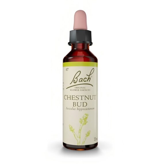 Flores de Bach Chestnut Bud - Brote Castaño 20 mL