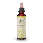 Flores de Bach Clematis - Clemátide 20 mL