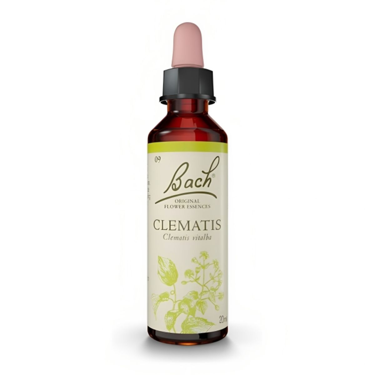 Flores de Bach Clematis – Clematide 20 mL