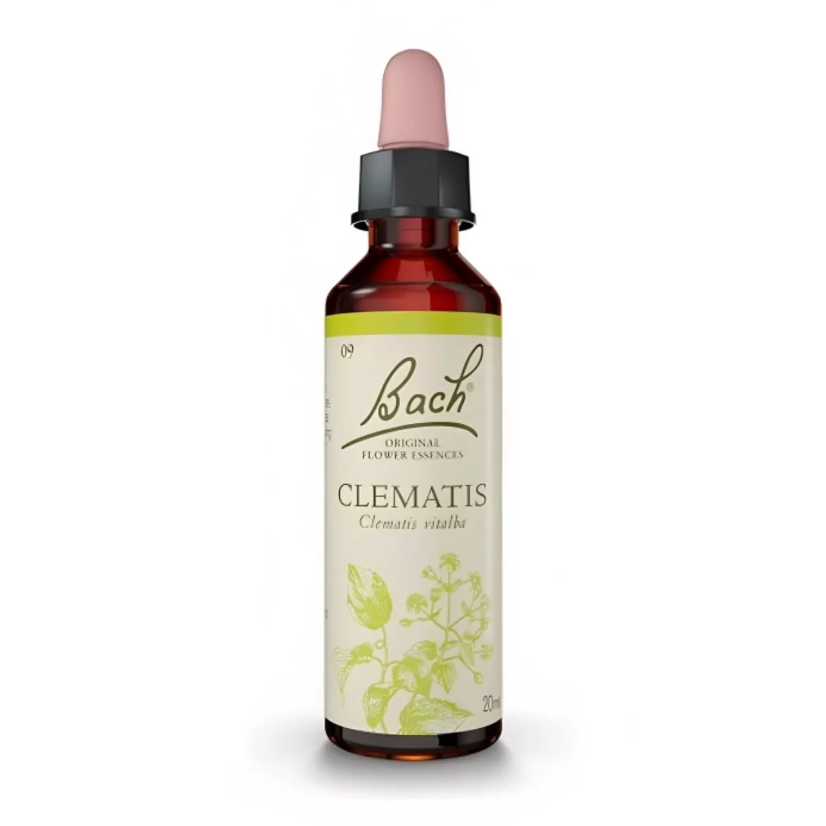 Flores de Bach Clematis – Clematide 20 mL