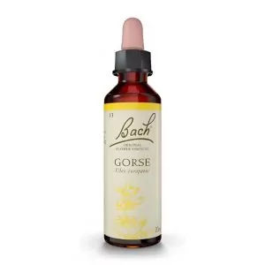 Flores de Bach Gorse – Aulaga 20 mL