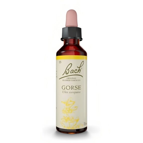 Flores de Bach Gorse - Aulaga 20 mL