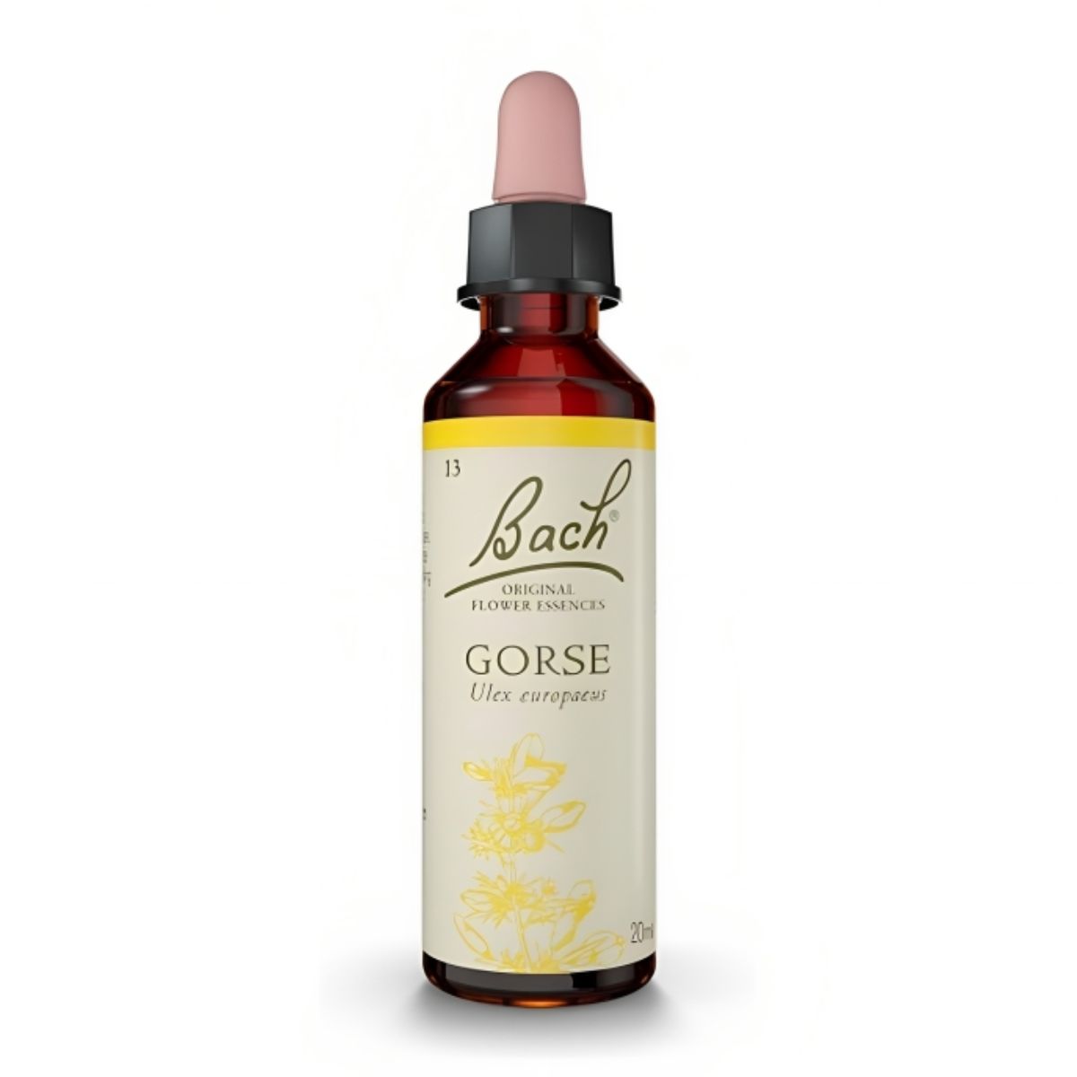 Flores de Bach Gorse – Aulaga 20 mL