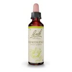 Flores de Bach Honeysuckle - Madreselva 20 mL